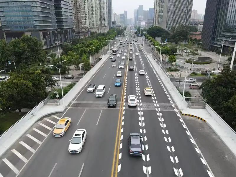 纵向减速标线、柔性隔离柱……武汉街头的这些交通设施，你认识吗？